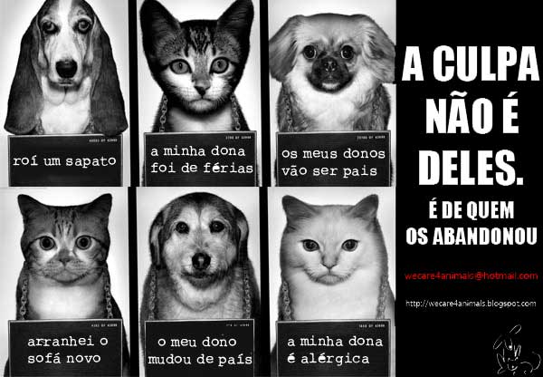 Adote e Não Abandone