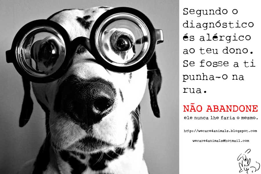 Adote e Não Abandone