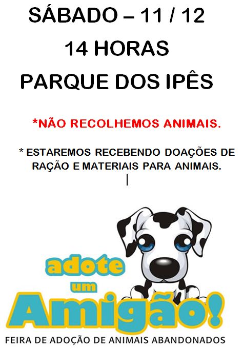 Evento 11 de Dezembro FOLDER